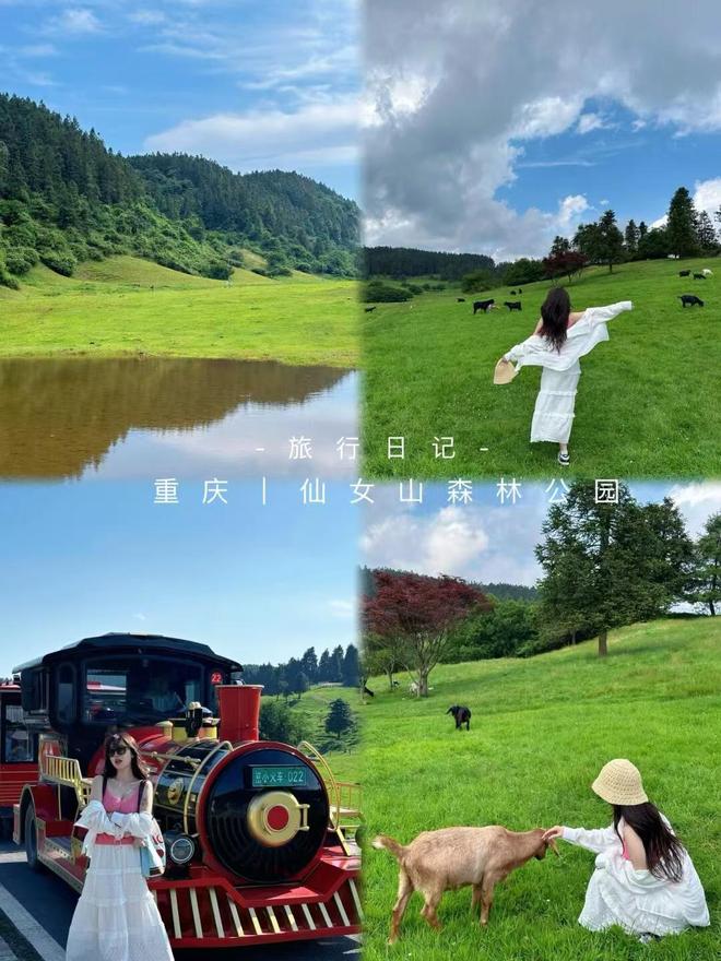 名导游推荐最实惠的游玩价格分享诚心分享PG电子麻将胡了模拟器重庆本地旅行团报(图6)