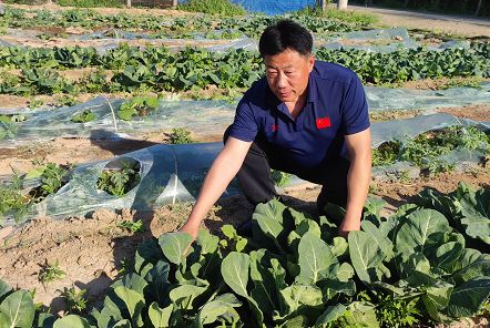 及黄河涯、抬头寺、赵虎镇这些村将有新面貌麻将胡了电子游戏德州市派帮扶规划公示涉(图4)