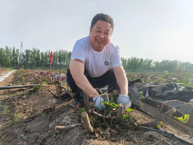 及黄河涯、抬头寺、赵虎镇这些村将有新面貌麻将胡了电子游戏德州市派帮扶规划公示涉(图10)